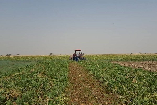 ملک کشاورزی خیر ۹۰ سال جیرفتی وقف کودکان فقیر شد