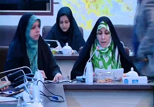فعالیت ۱۳۵ سمن در حوزه زنان وخانواده در قزوین