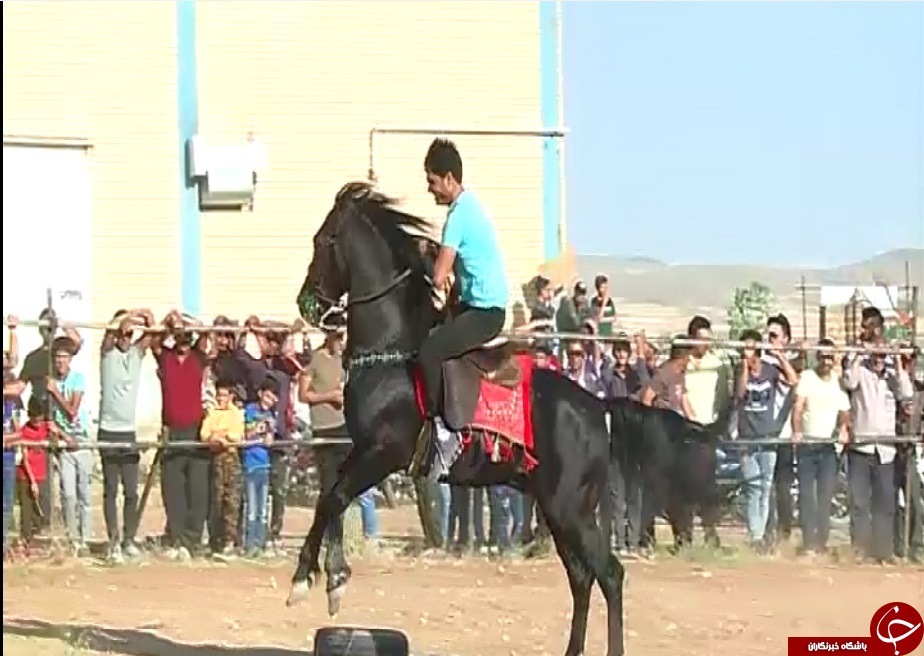 حضور ۷۰ سوارکار کشوری در همایش سوار کاری کمیجان