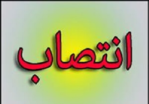 مدیرکل دفتر هماهنگی امور اقتصادی استانداری منصوب شد