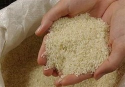 کشف بیش از ۶ تن برنج احتکار شده در شهرستان ابهر