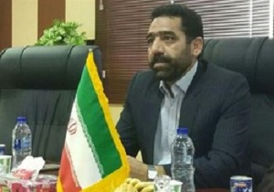 واردات دام، فرصتی برای اشتغالزایی