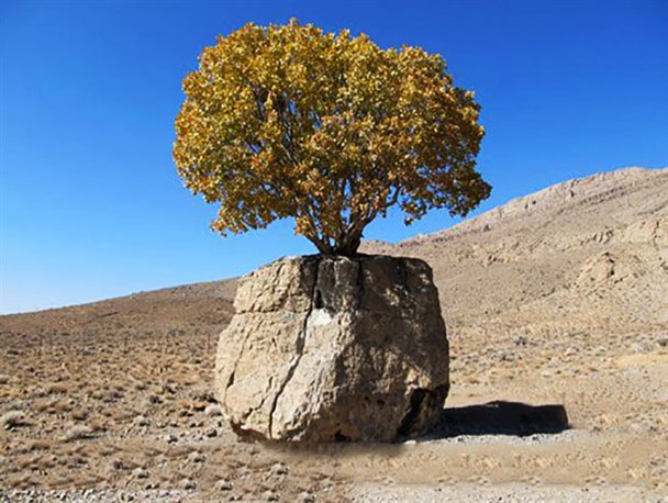 مروارید سبز کجاست؟