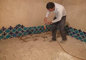 اجرای طرح پاکسازی موریانه‌ها در بقعه سیدون علی نقیا