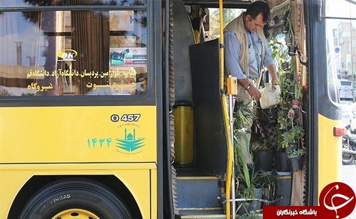 حرکت اتوبوس سبز در خیابان&zwnj;های قم /راننده خوش ذوق قمی اتوبوس خود را به گلخانه تبدیل کرد
