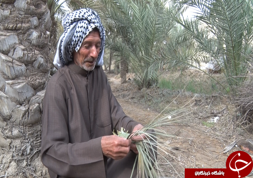 زباله گردی خدمت یا خیانت؟/ماجرای زنی که به دست پسرش به زنجیر کشیده شد/
