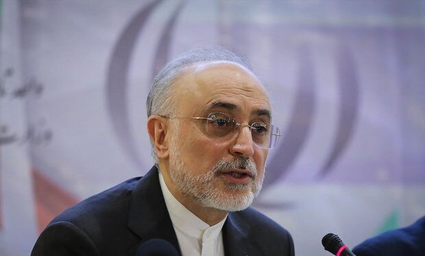 صالحی: ماه آینده بتن ریزی فاز دوم نیروگاه هسته&zwnj;ای بوشهر انجام می&zwnj;شود