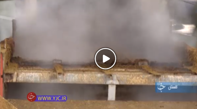 ایده&zwnj;ای که سالانه از نابودی هزار هکتار جنگل جلوگیری می&zwnj;کند تا زنده ماندن صنایع دستی، نیازمند حمایت ویژه مسئولان +فیلم