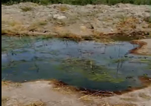 چهره زننده فاضلاب مجاورت منازل مسکونی + فیلم