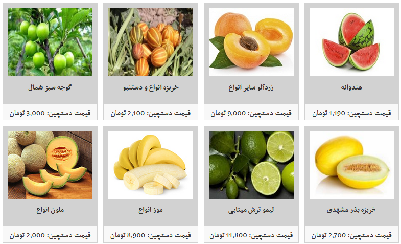 ثبات قیمت میوه در میادین تره&zwnj;بار/ زردآلو کیلویی ۱۱ هزار تومان