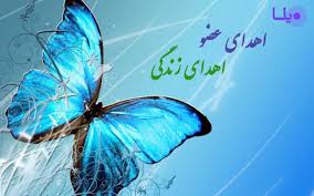 اختصاص قطعه‌ای از بهشت رضا (ع) مشهد به دفن "اهدا کنندگان عضو"