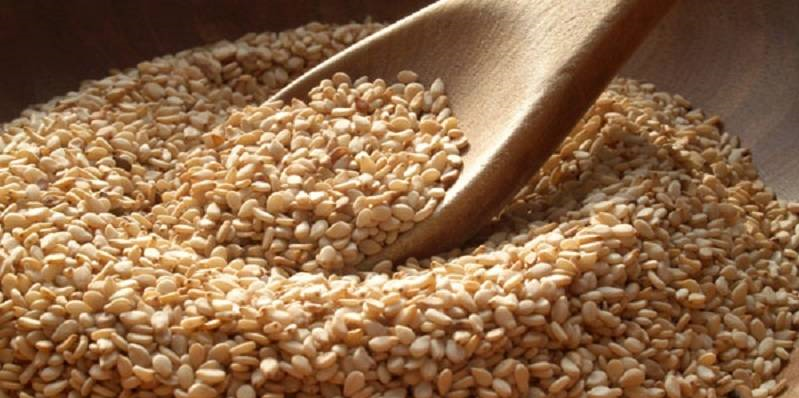 روغن کنجد؛ معجزهای برای سلامت استخوانها روغن کنجد؛ معجزهای برای سلامت استخوانها