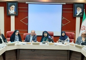 اجرای چند طرح جدید در حوزه اشتغال زنان