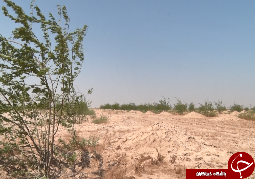 تغییرات اقلیمی برای خوزستانی&zwnj;ها دردسرساز شده است