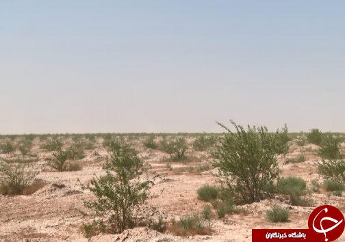 تغییرات اقلیمی برای خوزستانی&zwnj;ها دردسرساز شده است