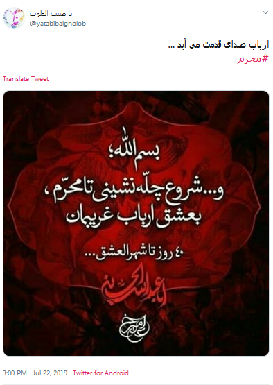 #چله_نوکری/ از امشبی به بعد به عشق مُحرمت؛ چله گرفتم گنه کم کنم حسین