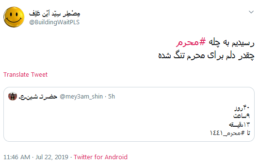 #چله_نوکری/ از امشبی به بعد به عشق مُحرمت؛ چله گرفتم گنه کم کنم حسین