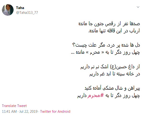 #چله_نوکری/ از امشبی به بعد به عشق مُحرمت؛ چله گرفتم گنه کم کنم حسین