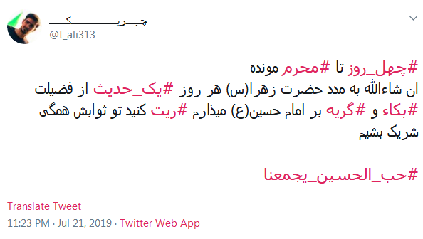 #چله_نوکری/ از امشبی به بعد به عشق مُحرمت؛ چله گرفتم گنه کم کنم حسین