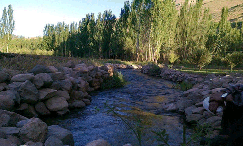 روستایی بکر که تمام نقاط آن را چشمه&zwnj;های مختلف فراگرفته است! + فیلم