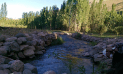 زنان کارآفرین موفق در لرستان + فیلم