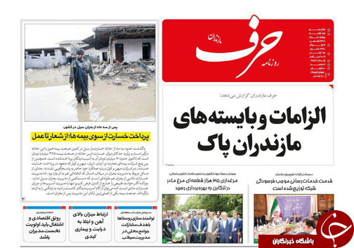 نمک پاشی قاچاقچیان چوب بر زخم بی پولی مدافعان جنگل