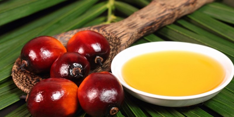 مزایای روغن پالم که نمی&zwnj;دانستید
