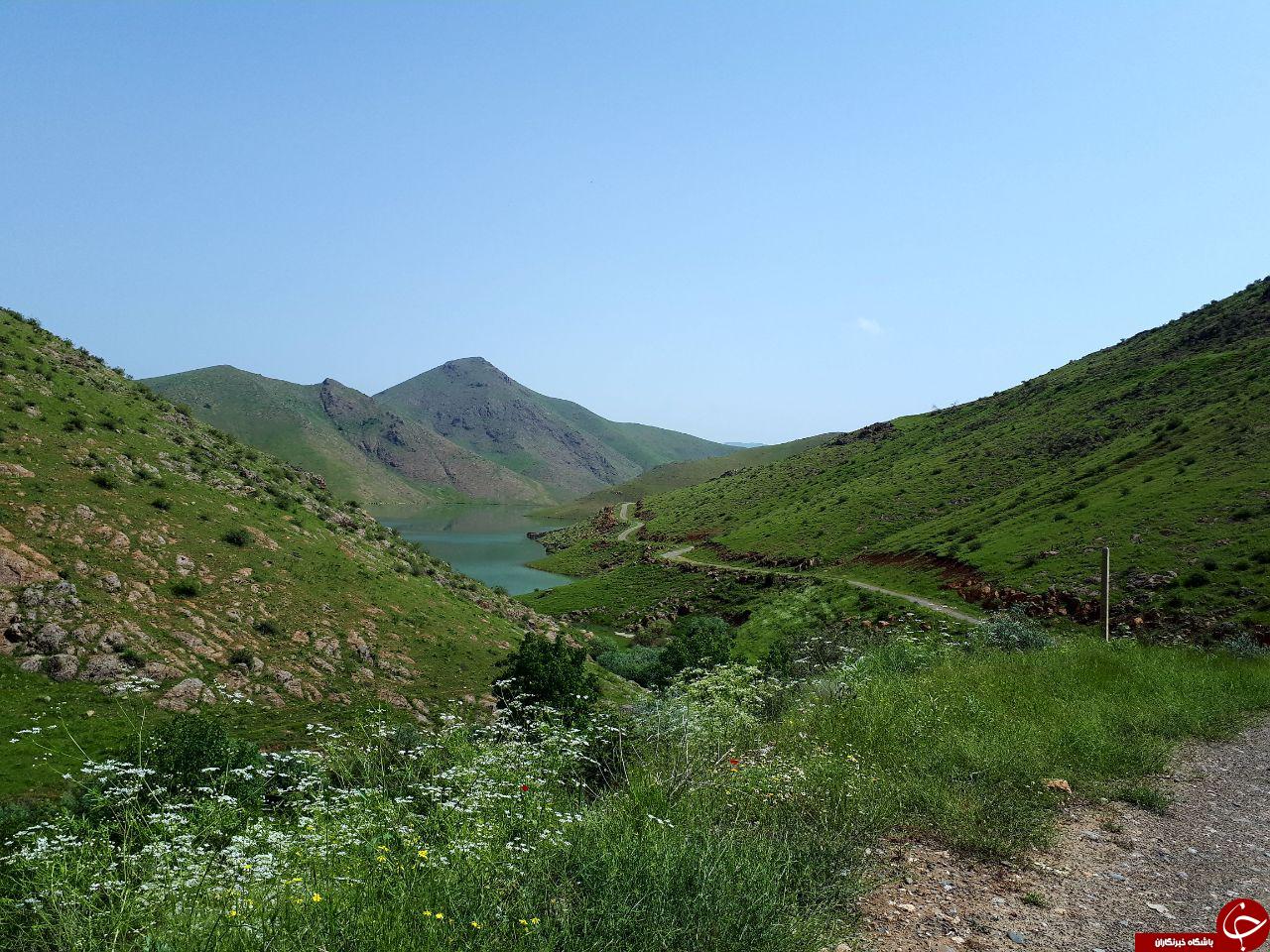 نمایی از طبیعت تابستانی در روستای لاین + تصویر