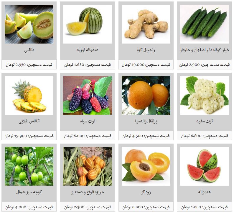 ثبات قیمت میوه در میادین ترهبار/ زردآلو کیلویی ۱۱ هزار تومان ثبات قیمت میوه در میادین ترهبار/ زردآلو کیلویی ۱۱ هزار تومان