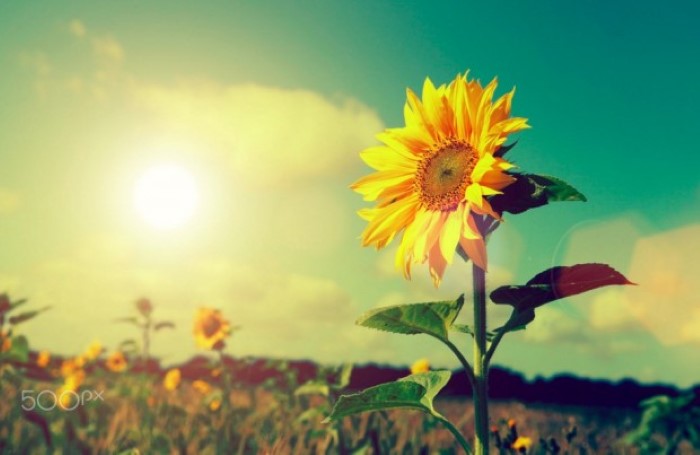 کاهش دمای هوا در استان مرکزی