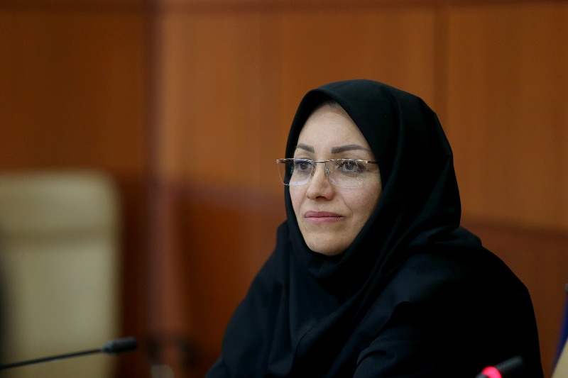 70 درصد پیش بینی های بلند مدت صحت دارد/ پیش بینی هواشناسی جان یک هزار نفر را نجات داد