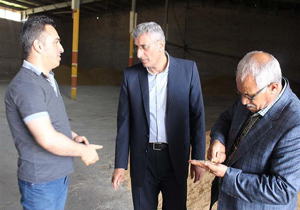 تامین بیش از ۴ هزار تن انواع بذور در شبکه تعاون روستایی مازندران