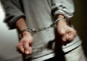 دستگیری جاعل ۶۰ میلیاردی ویزا توسط پلیس اینترپل