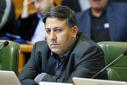 مصوبه خانه باغ&zwnj;ها نیاز به اهتمام مدیریت شهری دارد