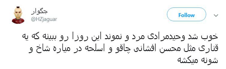 محسن افشانی