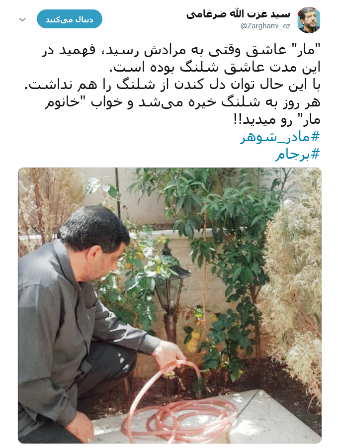 ضرغامی
