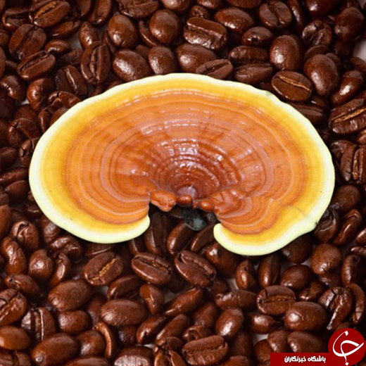 دانستنی&zwnj;هایی درباره قهوه گانودرما + مزایا و معایب مصرف آن