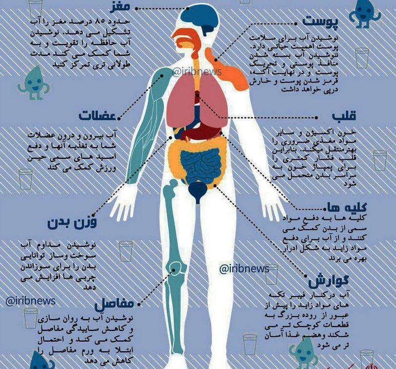 فواید نوشیدن آب کافی برای بدن انسان چیست؟! + اینفوگرافی