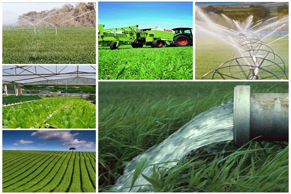 استمهال تسهیلات کشاورزی استان بوشهر به ۵۱۰ میلیارد تومان اعتبار نیاز دارد