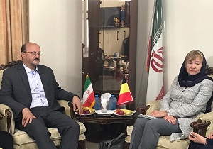 سفیر بلژیک در ایران با استاندار قزوین دیدار کرد