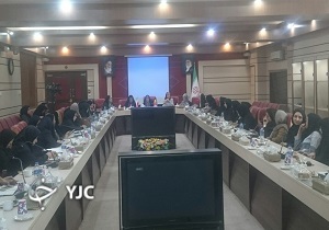 دیدار سفیر بلژیک در ایران با بانوان موفق و کارآفرین قزوین