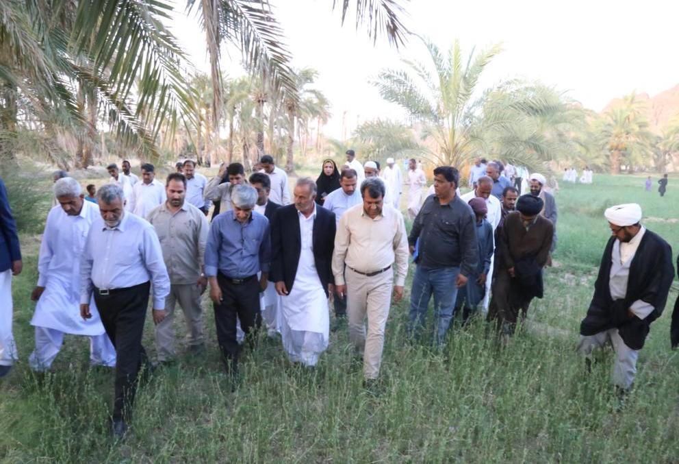 قدردانی وزیر جهاد کشاورزی از مشارکت همگانی برای مبارزه با آفت ملخ صحرایی در سیستان و بلوچستان