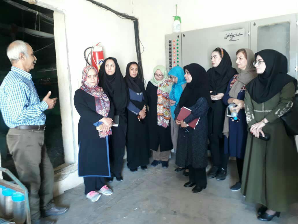 بازار فروش محصولات برای زنان صنعتگر نصرت آباد فراهم می&zwnj;شود