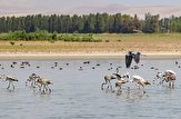 تالاب آق گل خنداب پس از ده سال جانی تازه گرفت