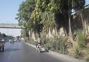 از آتش گرفتن اتوبوس تهران &ndash; شیراز در صفاشهر تا حمل غیر بهداشتی گوشت گرم با موتورسیکلت! + فیلم و تصاویر