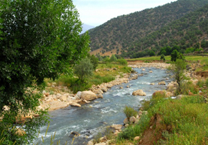 پیش بینی جوی پایدار در چهارمحال و بختیاری