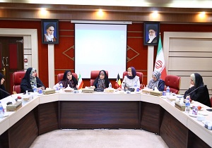 دیدار سفیر بلژیک در ایران با بانوان موفق و کارآفرین قزوین