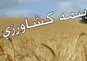 بیمه ۳۳ هزار هکتار از اراضی زراعی و باغی خراسان جنوبی
