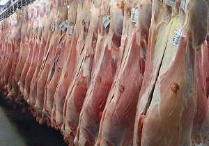 پایین نیامدن قیمت گوشت گاو و گوساله به دلیل نبود نظارت سازمان‌های بازرسی