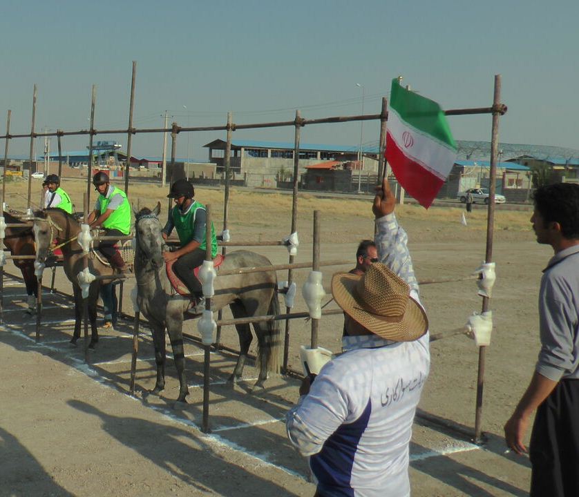سوارکاران برتر جنوب آذربایجان شرقی مشخص شدند